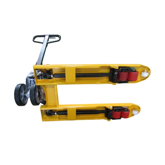 Zdjęcie WhatsApp 2024-06-27 o 09.58.09_b3923a2d Palceik krótki z ujęciem od spodu